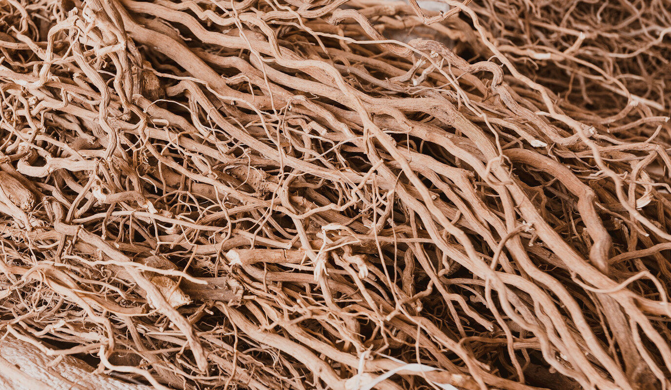 Dried kava root, Piper methysticum